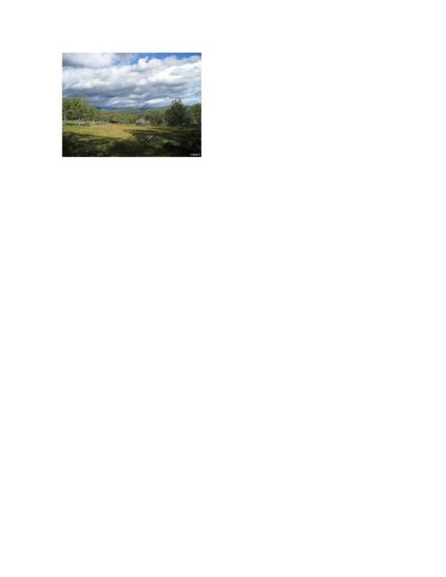 8 Broken Heart Ln, Raymond, CA, 93653 | Card Image