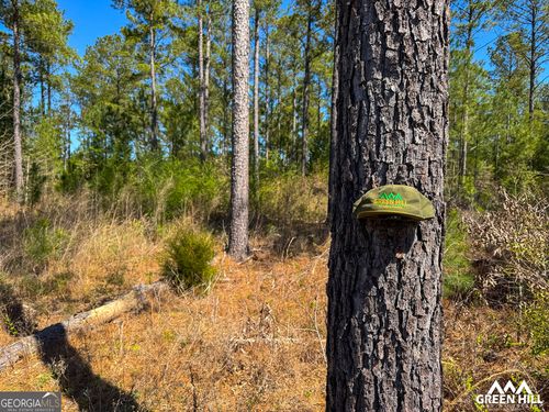 0 Americus Hwy, Rupert, GA, 31081 | Card Image