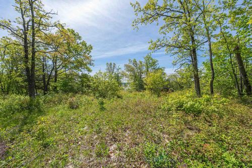 0 Northey'S Bay Rd, North Kawartha, ON, K0L2H0 | Card Image