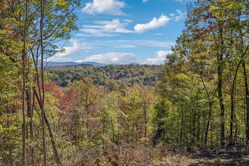 Tract 13 Off Of Sheep Ranch Road, Robbins, TN, 37852 | Card Image