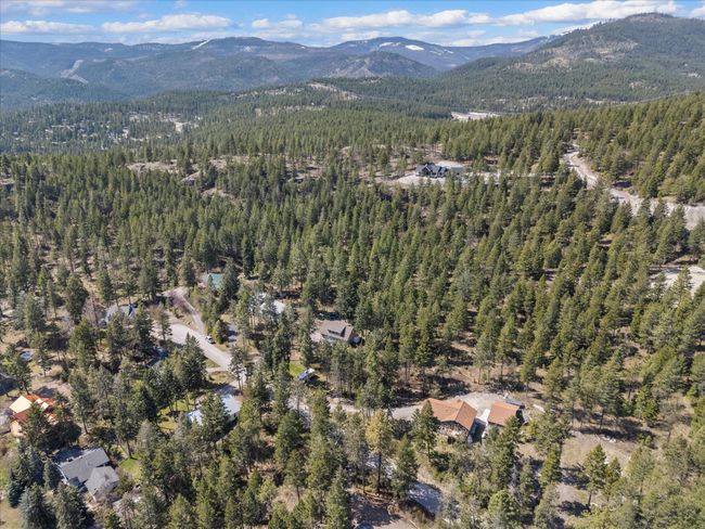 Birds eye view of property with a mountain view and a view of trees | Image 45