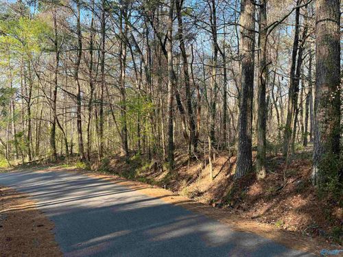 Lot 1 & Pt of 2 W Meighan Blvd, Gadsden, AL, 35901 | Card Image