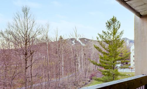 iid02-137 E Mountain Rd, Killington, VT, 05751-9615 | Card Image