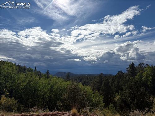 70 Brown Bear Ln, Cripple Creek, CO, 80813 | Card Image