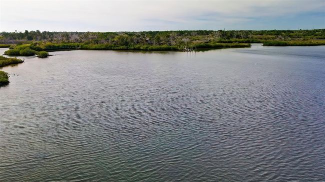 13835 Ricks Is, House other with 4 bedrooms, 2 bathrooms and null parking in CRYSTAL RIVER FL | Image 66