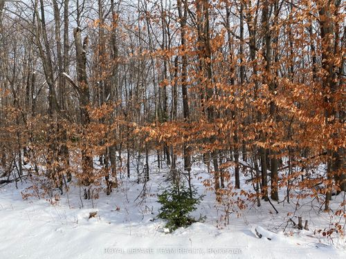 00 Siberia Rd, Barrys Bay, ON, K0J1B0 | Card Image