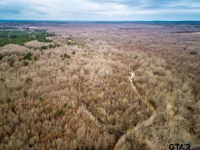 350 AC Cr 1322, Home with 0 bedrooms, 0 bathrooms and null parking in Reklaw TX | Image 16