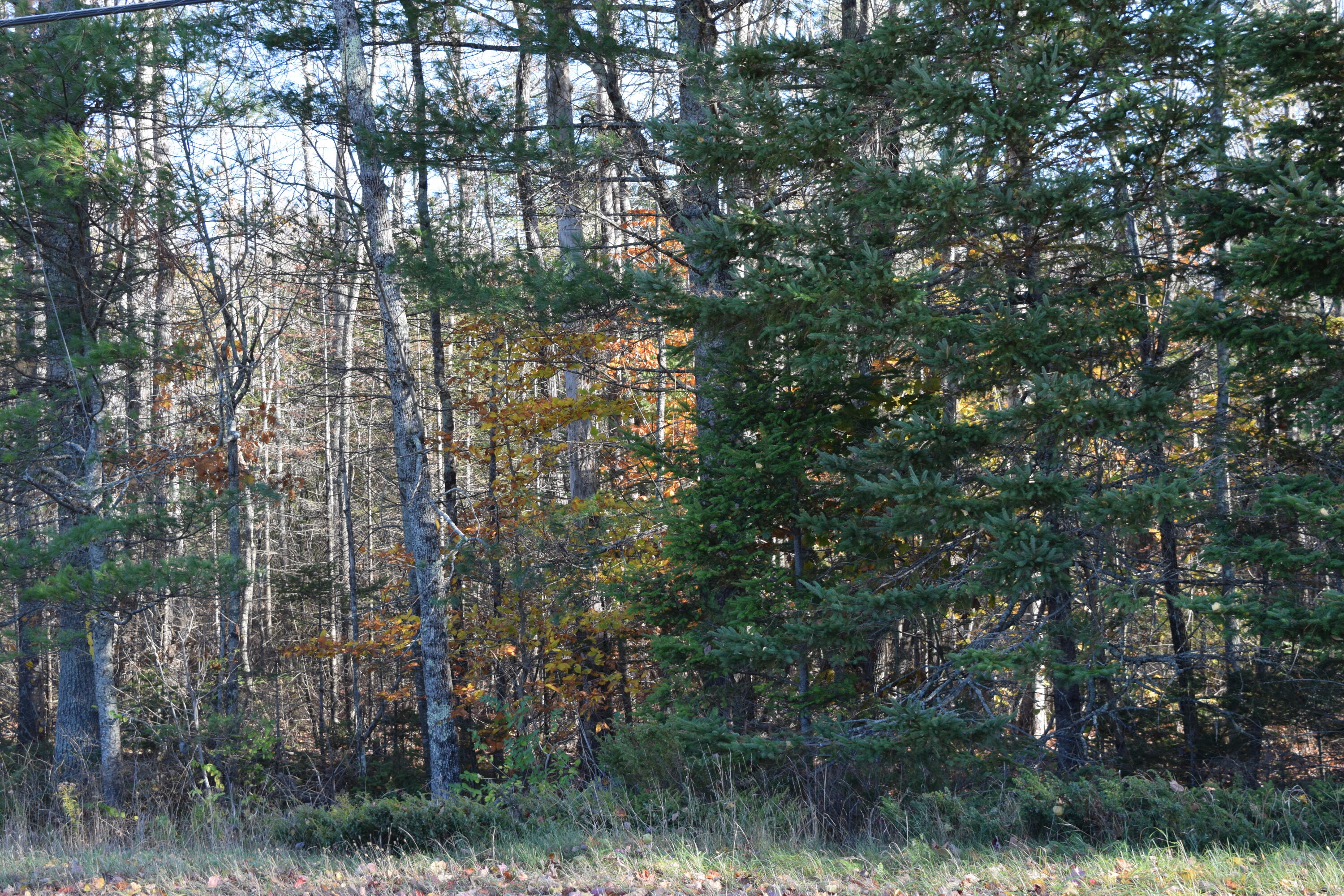 Marsh Rd, Belfast, ME 04915