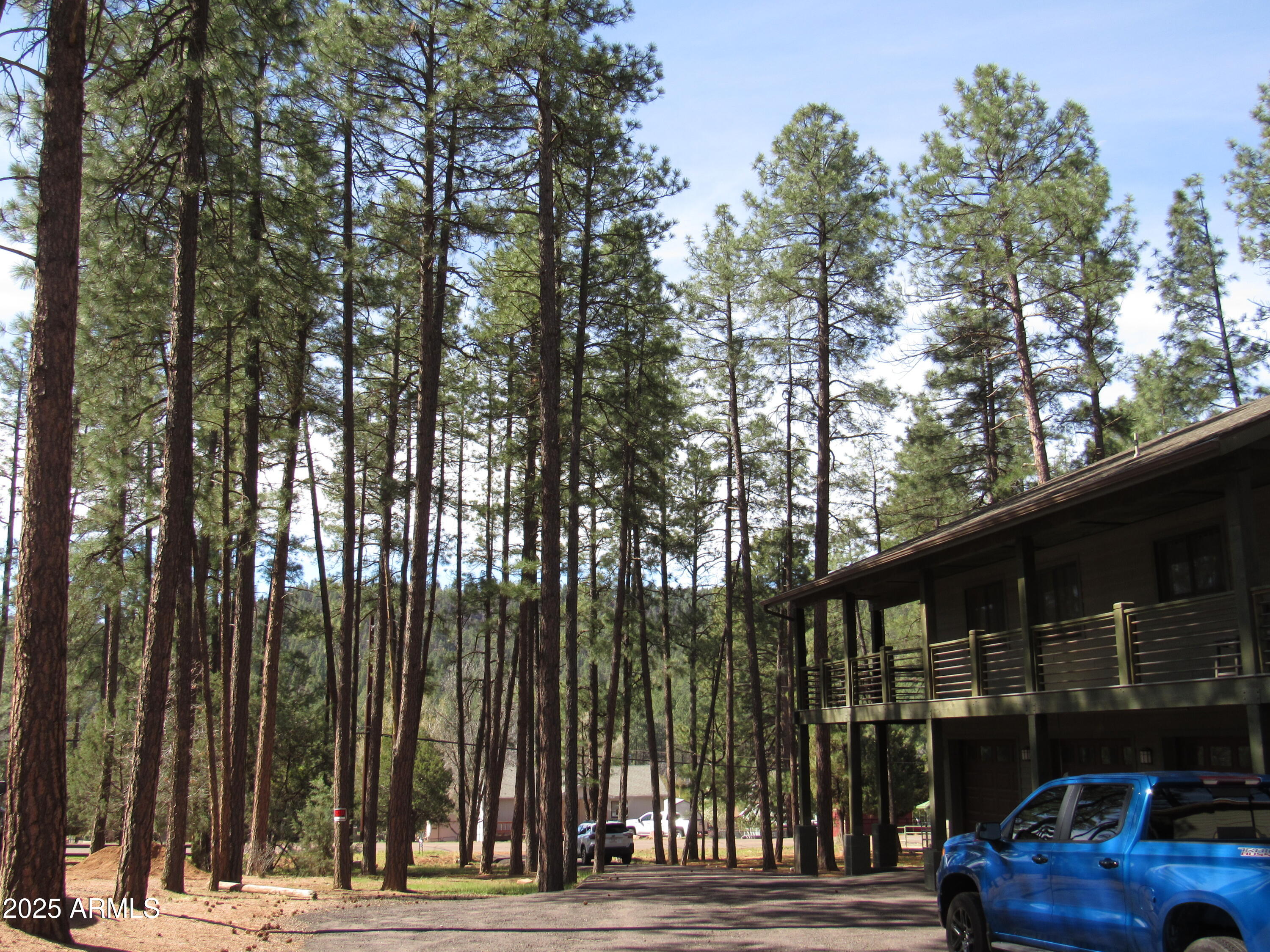 Residential in Pine 3
