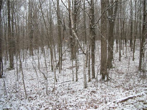 96 Woods Avenue, Birchwood, WI, 54817 | Card Image