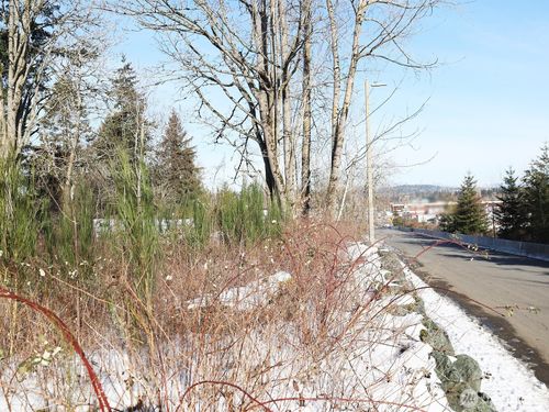 157408 12th St, Blaine, WA, 98230 | Card Image