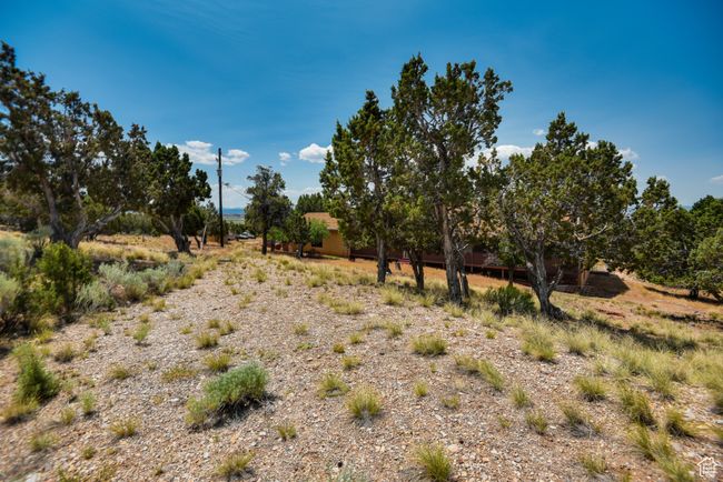 View of nature with rural landscape | Image 8