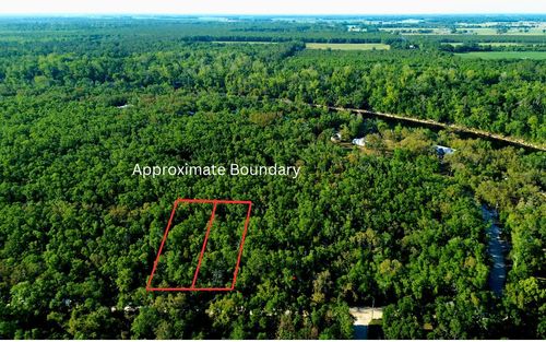 TBD Ne Trestle Dr, Mayo, FL, 32066 | Card Image