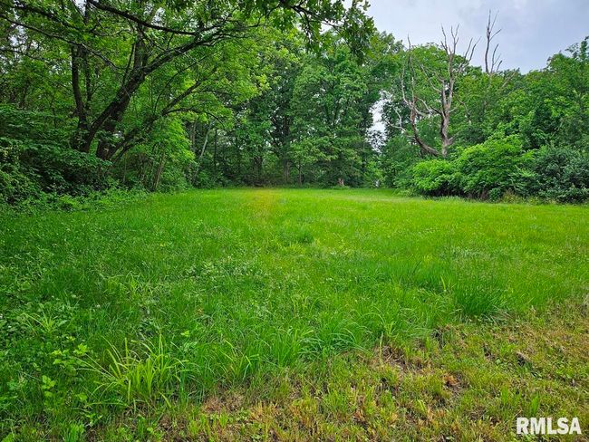 13973 Halliday Rd, Home with 2 bedrooms, 1 bathrooms and null parking in Plainview IL | Image 52