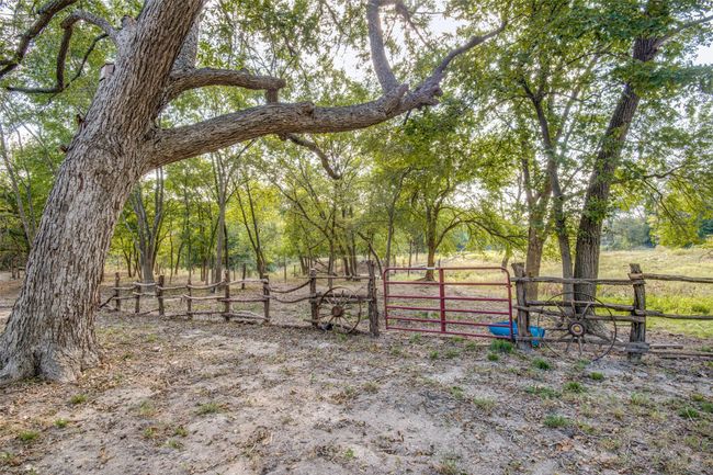 14906 State Highway 78 N, Home with 3 bedrooms, 3 bathrooms and null parking in Blue Ridge TX | Image 24