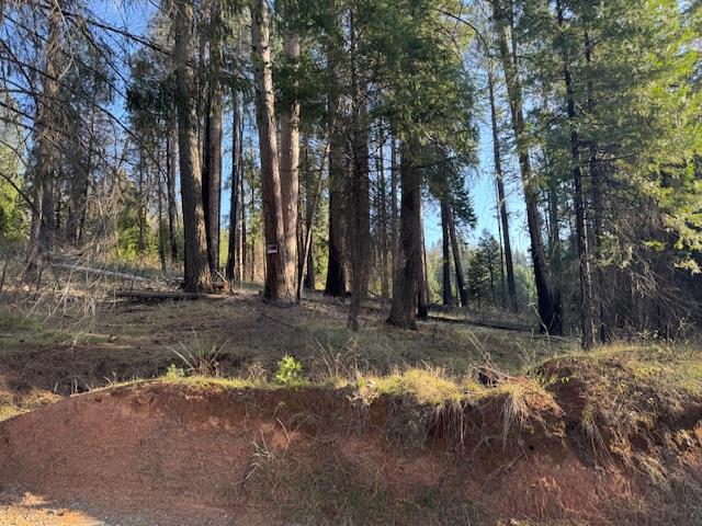 Land in Grizzly Flats