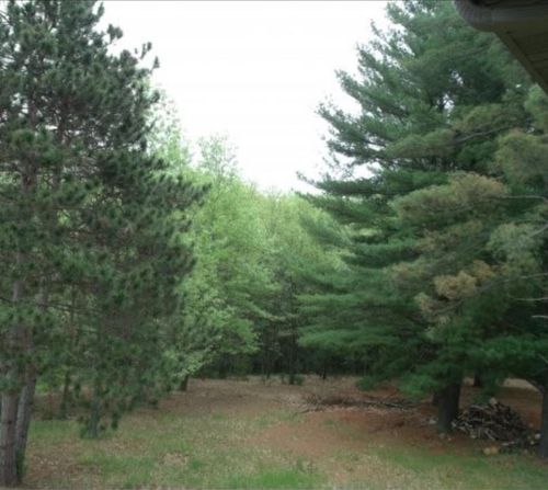 N2737 Ona Pines Road, MUKWA, WI, 54883 | Card Image
