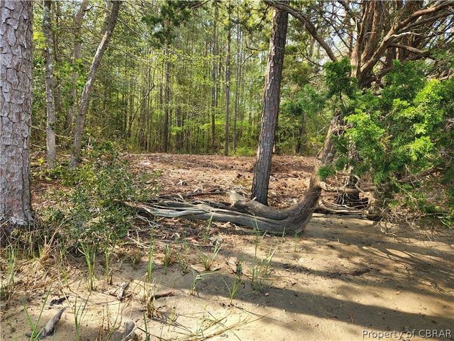 0 Potato Neck Rd, Home with 0 bedrooms, 0 bathrooms and null parking in Port Haywood VA | Image 12