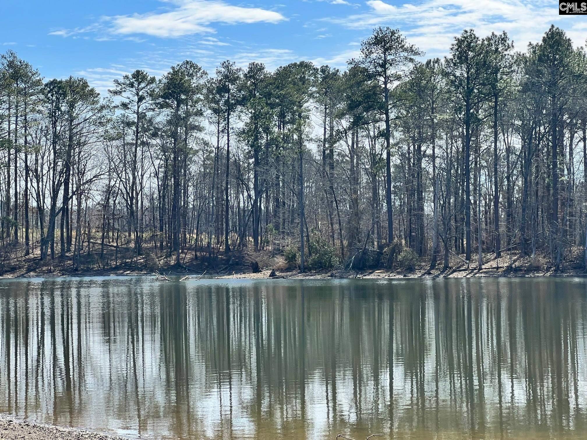 Land in Leesville 3