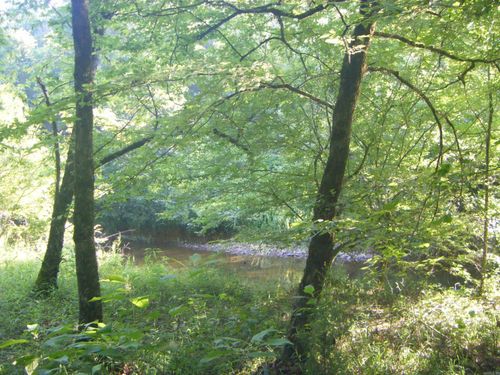 TBD Mosley Rd, Arkadelphia, AR, 71923 | Card Image