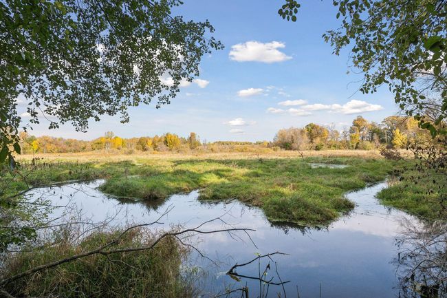 Another view of Stanchfield creek on the North property line. | Image 58