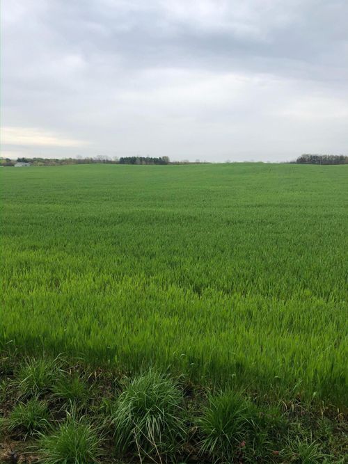 13556 Rosewood Rd Ne, Thornville, OH, 43076 | Card Image