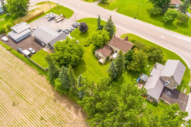 1167 Highway 7, House other with 3 bedrooms, 2 bathrooms and 3 parking in Oakwood ON | Image 29