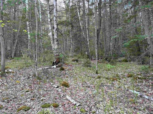 0 E Hill Rd, Chester, VT, 05143 | Card Image