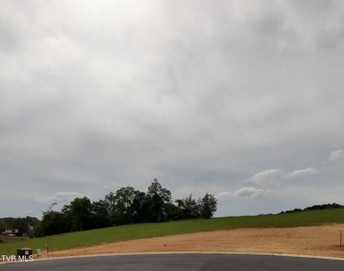 19 Steepleview Court, Jonesborough, TN, 37659 | Card Image