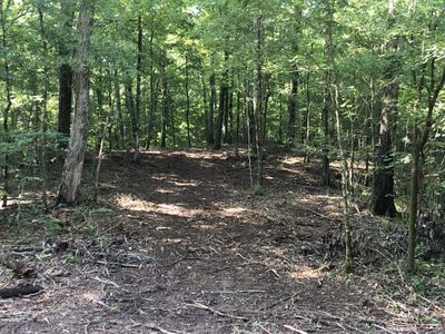 0 Murphy Hollow Road   Tract 1, Home with 0 bedrooms, 0 bathrooms and null parking in Vanleer TN | Image 3