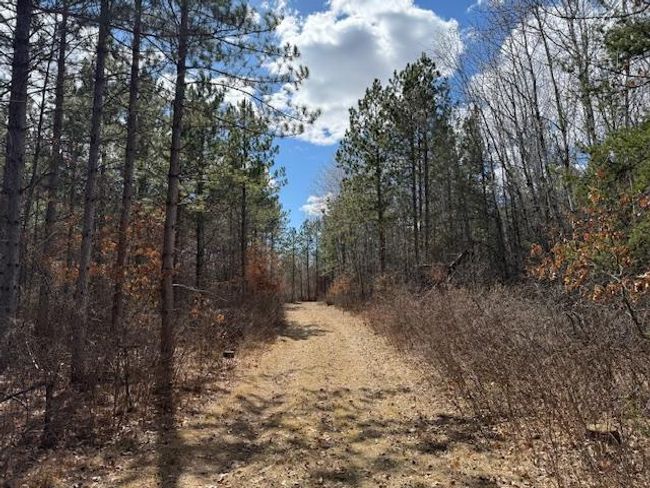 24051 324 Th St, Home with 0 bedrooms, 0 bathrooms and null parking in Sebeka MN | Image 20