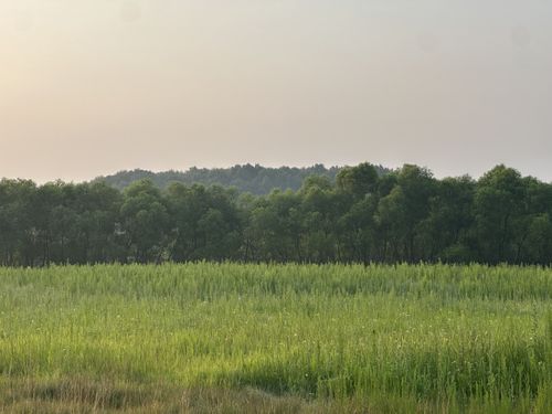 Lot 5 28th St, Elk Mound, WI, 54739 | Card Image