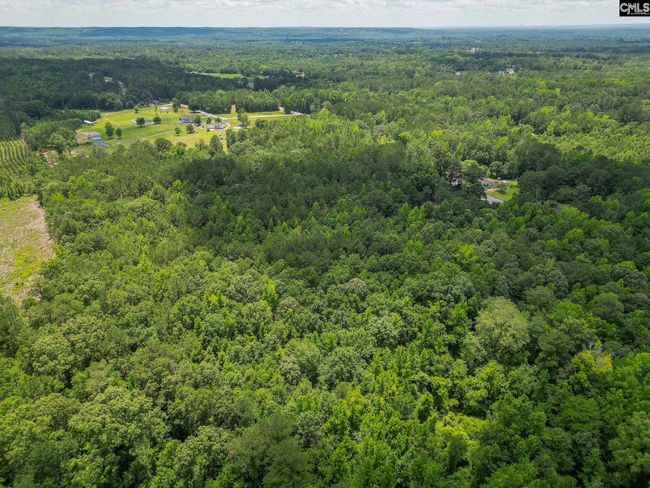 0 Mcdaniel Rd, Home with 0 bedrooms, 0 bathrooms and null parking in Rembert SC | Image 16