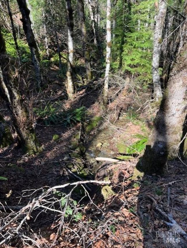 1 Highway 199 None, Home with 0 bedrooms, 0 bathrooms and null parking in Crescent City CA | Image 4
