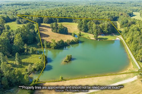 241 Peterson Loop, Holladay, TN, 38341-7059 | Card Image