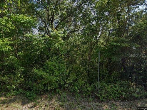 916 Pineaire St, INVERNESS, FL, 34452-6428 | Card Image