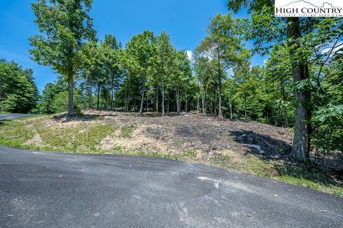 81 Bear Creek Road, Elk Park, NC, 28622 | Card Image