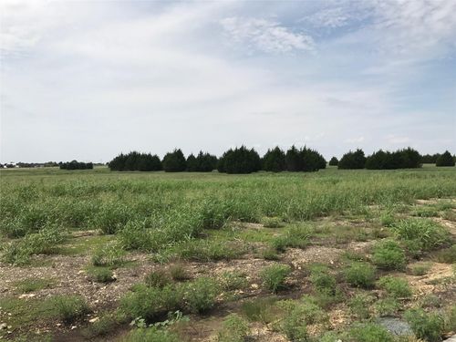 1310 Carroll Moran Trl, Midlothian, TX, 76065-2991 | Card Image