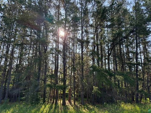 XX Waldo Rd, Two Harbors, MN, 55616 | Card Image