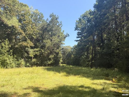 336 Cr 3992, Bloomburg, TX, 75556 | Card Image
