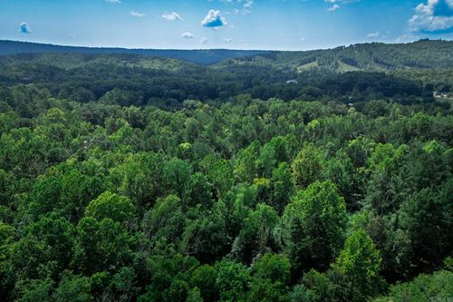 00A W Glazypeau Rd, Mountain Pine, AR, 71956 | Card Image