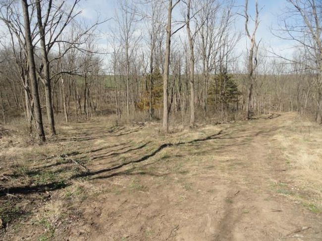 10.45 Acres Ringhand Rd, Home with 0 bedrooms, 0 bathrooms and null parking in SYLVESTER WI | Image 27