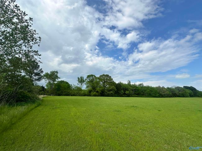 Lot 4 Tillman Mill Rd, Home with 0 bedrooms, 0 bathrooms and null parking in Athens AL | Image 6
