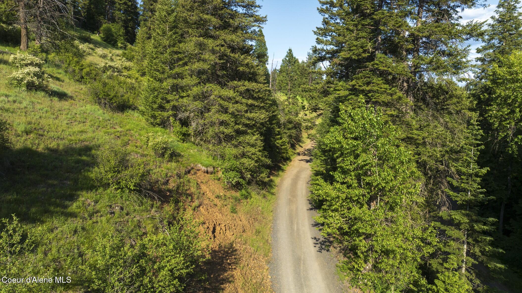 Land in St. Maries 4