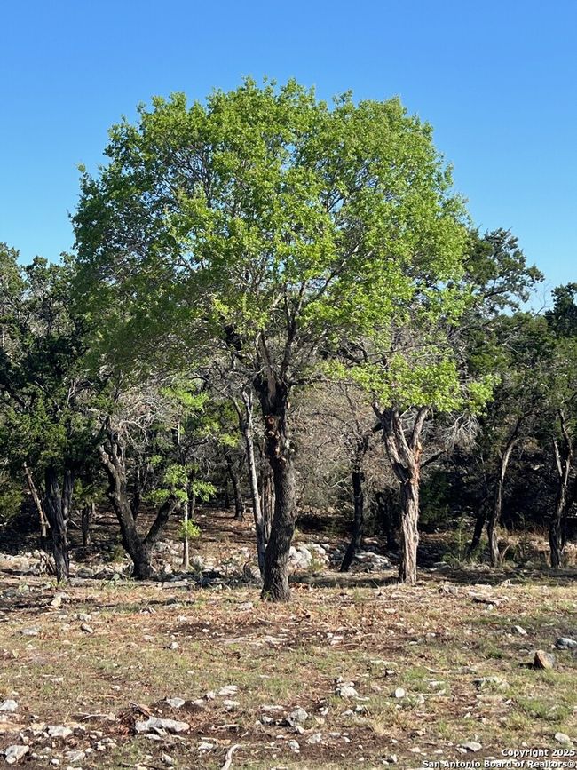 LOT 20A Clubs Dr, Home with 0 bedrooms, 0 bathrooms and null parking in Boerne TX | Image 8