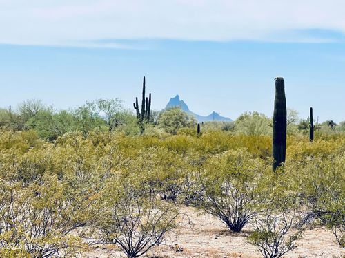 XXX E Vista Grande Lane, Marana, AZ, 85658 | Card Image