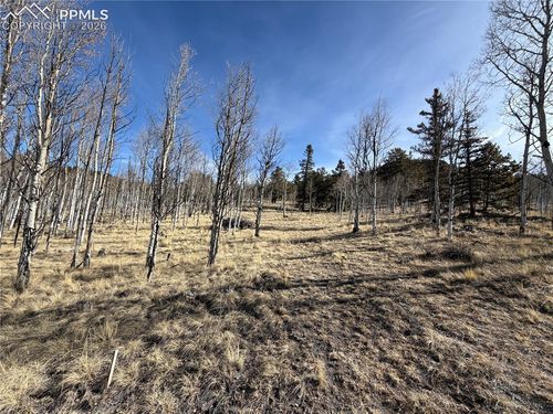 32 Sugar Loaf Ln, Jefferson, CO, 80456-9747 | Card Image