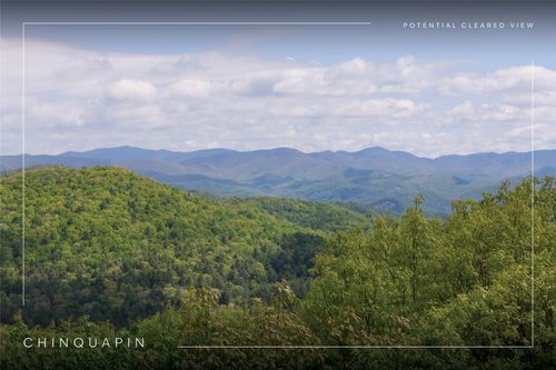 C47 Roaming Road, Glenville, NC, 28736 | Card Image