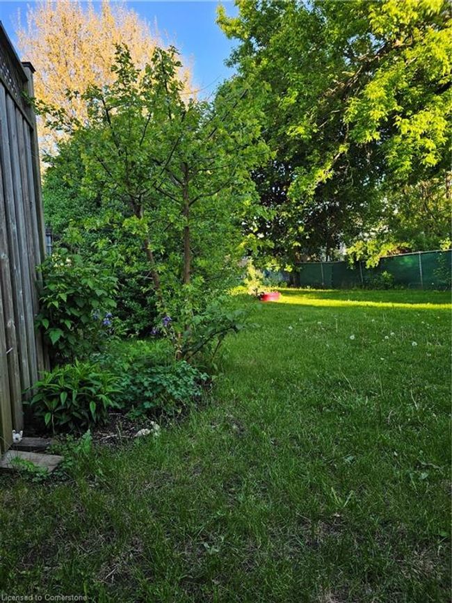 175 Fourth Ave, House other with 3 bedrooms, 1 bathrooms and 3 parking in Kitchener ON | Image 18