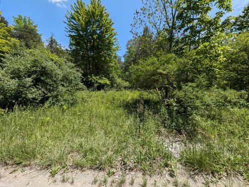 0000 Fox Rd, Goodells, MI, 48027 | Card Image